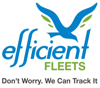 Efficient Fleets - Don't Worry. We Can Track It